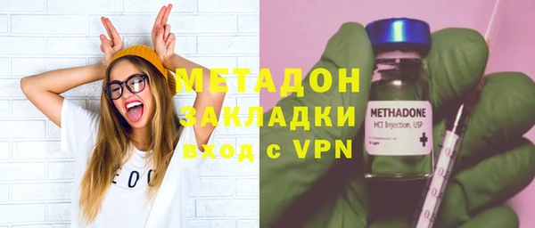 стаф Алзамай