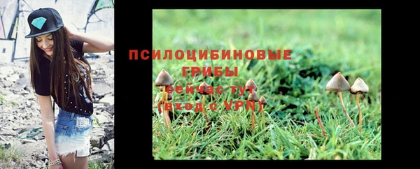 гидра Абдулино
